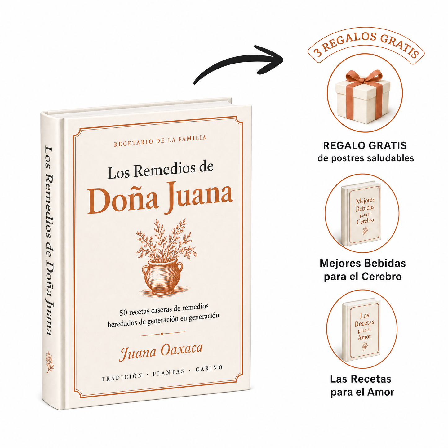 Los Remedios de Doña Juana: Recetario Familiar